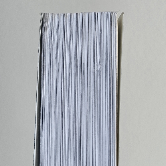 BOGO Books: "Decline and Fall of the American Programmer" Paperback Book - Picture 8 of 8